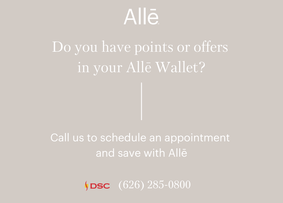 DSC Alle Promo Image 6262850800
